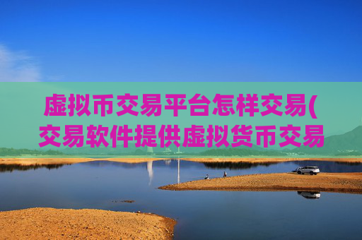 虚拟币交易平台怎样交易(交易软件提供虚拟货币交易)