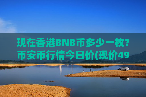 现在香港BNB币多少一枚？币安币行情今日价(现价4938.24元)