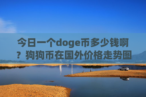 今日一个doge币多少钱啊?狗狗币在国外价格走势图(现价2.3259元)
