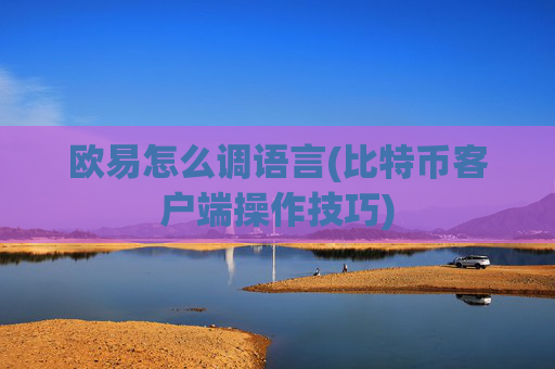 欧易怎么调语言(比特币客户端操作技巧)