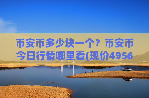 币安币多少块一个？币安币今日行情哪里看(现价4956.18元)