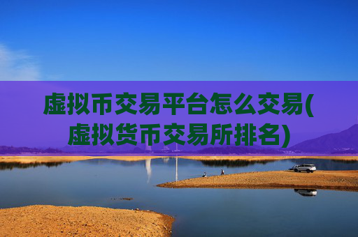 虚拟币交易平台怎么交易(虚拟货币交易所排名)