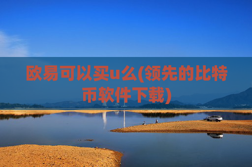 欧易可以买u么(领先的比特币软件下载)