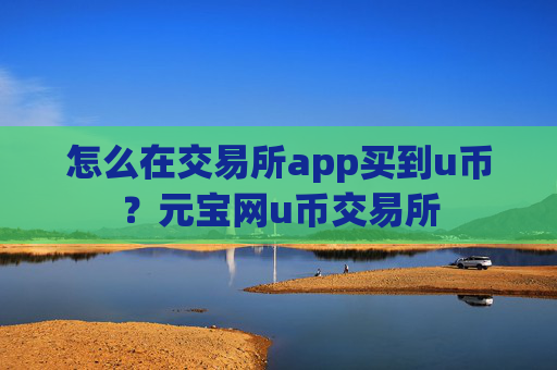 怎么在交易所app买到u币？元宝网u币交易所