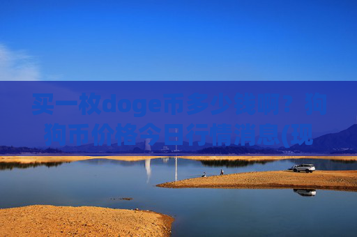买一枚doge币多少钱啊？狗狗币价格今日行情消息(现价2.3426元)