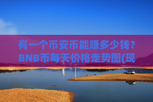 有一个币安币能赚多少钱？BNB币每天价格走势图(现价4966.47元)