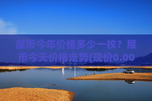 屎币今年价格多少一枚？屎币今天价格走势(现价0.00016697元)