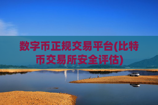 数字币正规交易平台(比特币交易所安全评估)