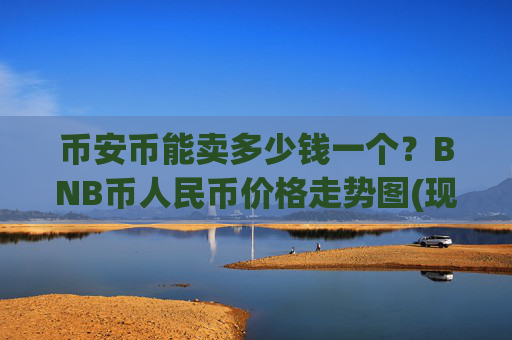 币安币能卖多少钱一个？BNB币人民币价格走势图(现价4938.38元)