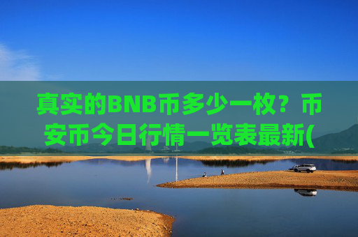 真实的BNB币多少一枚？币安币今日行情一览表最新(现价4937.65元)