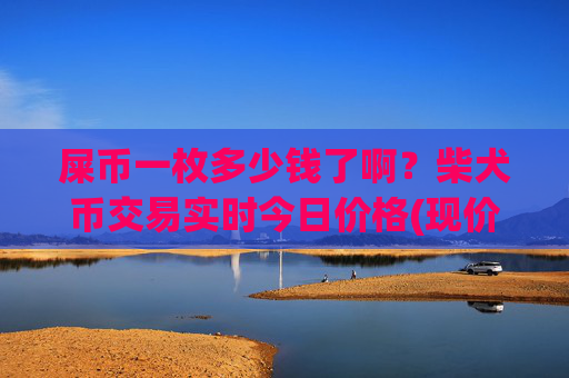 屎币一枚多少钱了啊？柴犬币交易实时今日价格(现价0.0001642元)