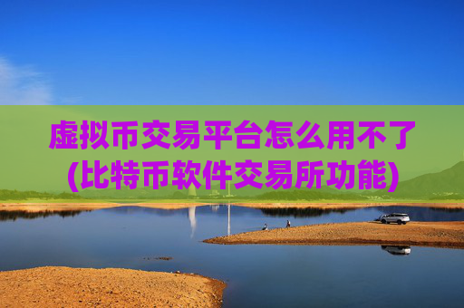 虚拟币交易平台怎么用不了(比特币软件交易所功能)