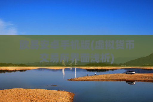 欧易安卓手机版(虚拟货币交易所界面浅析)