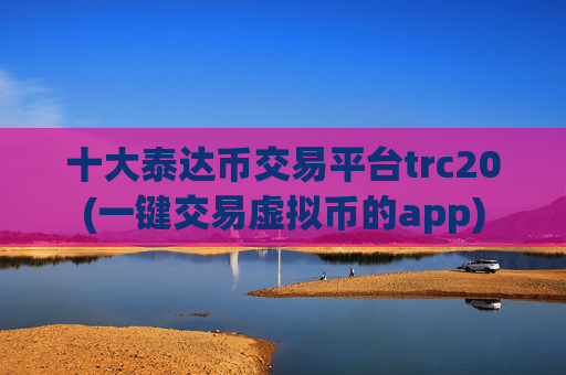十大泰达币交易平台trc20(一键交易虚拟币的app)