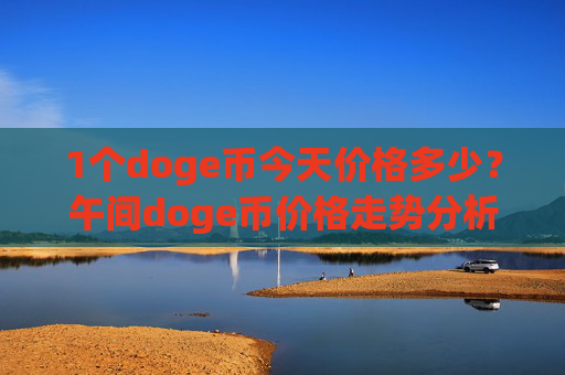 1个doge币今天价格多少？午间doge币价格走势分析(现价2.2664元)