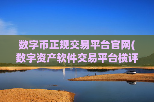 数字币正规交易平台官网(数字资产软件交易平台横评)