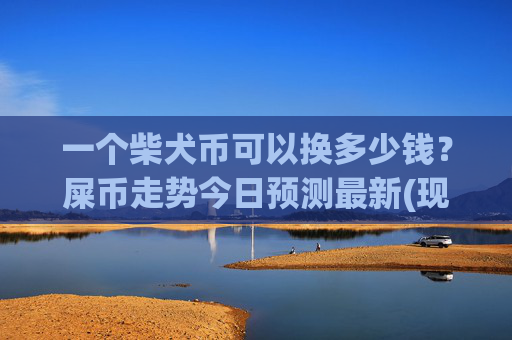 一个柴犬币可以换多少钱？屎币走势今日预测最新(现价0.00016391元)