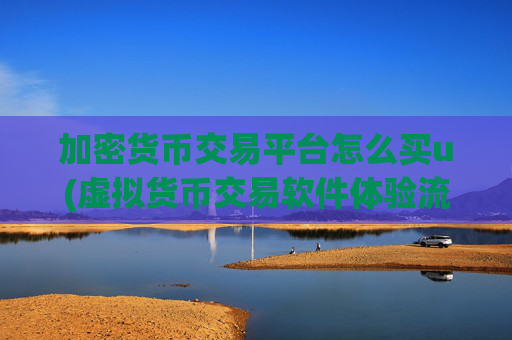 加密货币交易平台怎么买u(虚拟货币交易软件体验流畅)