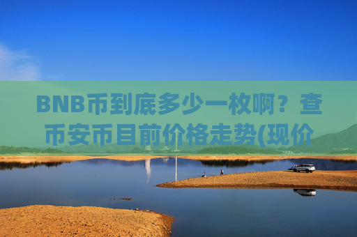 BNB币到底多少一枚啊？查币安币目前价格走势(现价4953.12元)