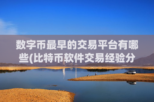 数字币最早的交易平台有哪些(比特币软件交易经验分享)