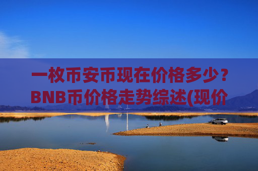 一枚币安币现在价格多少？BNB币价格走势综述(现价4903.81元)