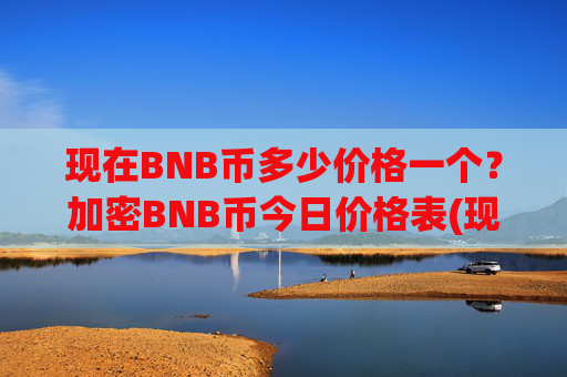 现在BNB币多少价格一个？加密BNB币今日价格表(现价4996.45元)