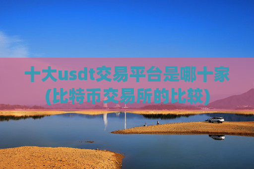 十大usdt交易平台是哪十家(比特币交易所的比较)