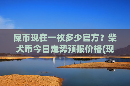 屎币现在一枚多少官方？柴犬币今日走势预报价格(现价0.000165元)