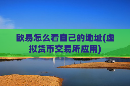 欧易怎么看自己的地址(虚拟货币交易所应用)