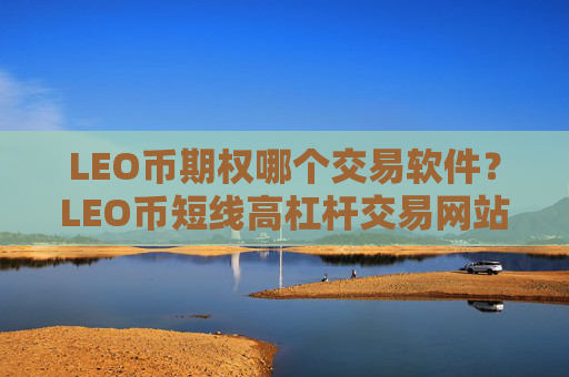 LEO币期权哪个交易软件？LEO币短线高杠杆交易网站