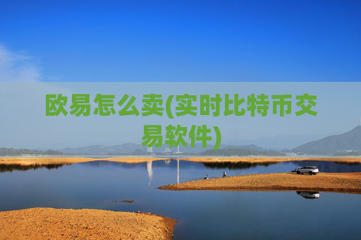 欧易怎么卖(实时比特币交易软件)