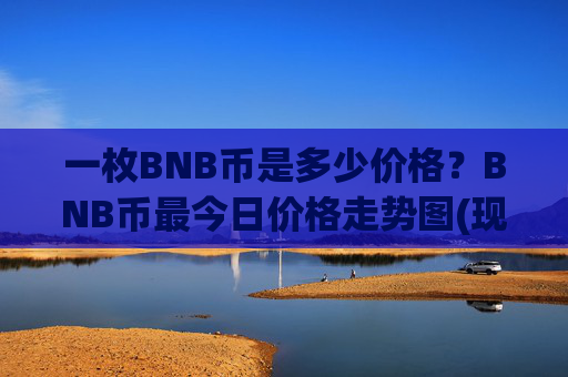 一枚BNB币是多少价格？BNB币最今日价格走势图(现价4988.28元)