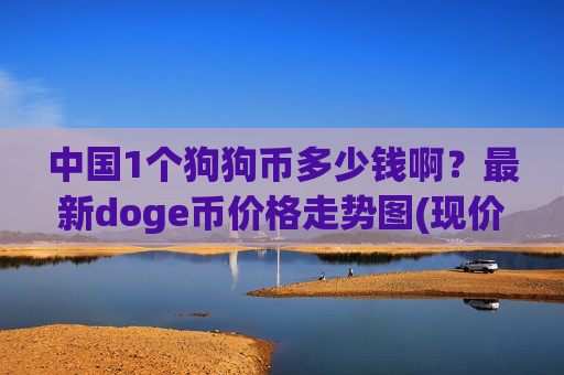 中国1个狗狗币多少钱啊？最新doge币价格走势图(现价2.3767元)