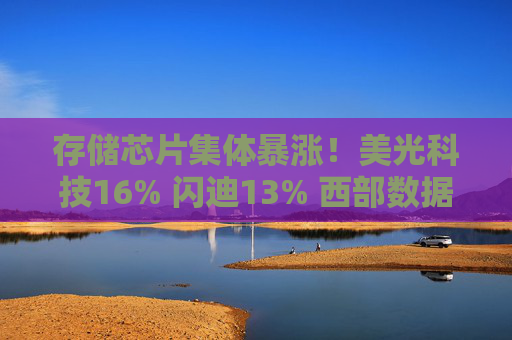 存储芯片集体暴涨！美光科技16% 闪迪13% 西部数据10% 希捷科技7%