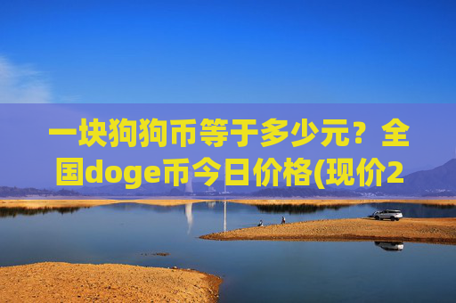 一块狗狗币等于多少元？全国doge币今日价格(现价2.3058元)