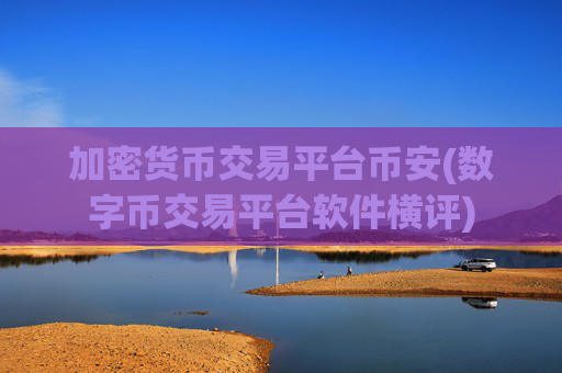 加密货币交易平台币安(数字币交易平台软件横评)