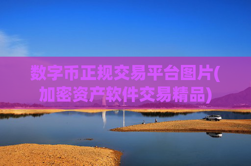 数字币正规交易平台图片(加密资产软件交易精品)