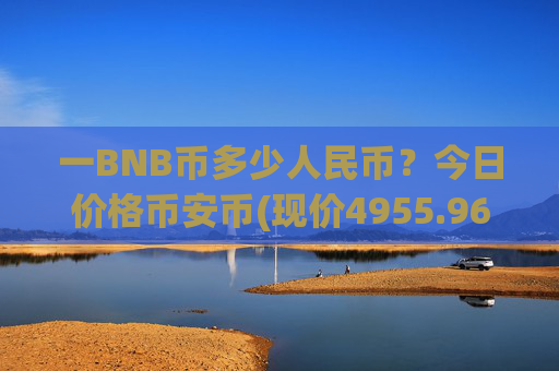 一BNB币多少人民币?今日价格币安币(现价4955.96元)