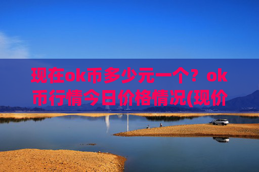 现在ok币多少元一个？ok币行情今日价格情况(现价336.737元)