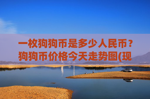一枚狗狗币是多少人民币？狗狗币价格今天走势图(现价2.2805元)