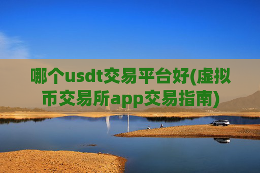 哪个usdt交易平台好(虚拟币交易所app交易指南)