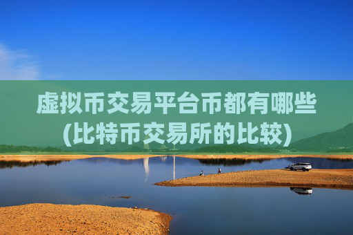 虚拟币交易平台币都有哪些(比特币交易所的比较)
