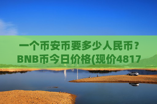 一个币安币要多少人民币？BNB币今日价格(现价4817.44元)