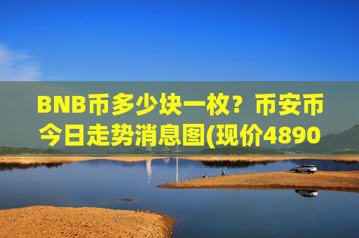 BNB币多少块一枚？币安币今日走势消息图(现价4890.92元)