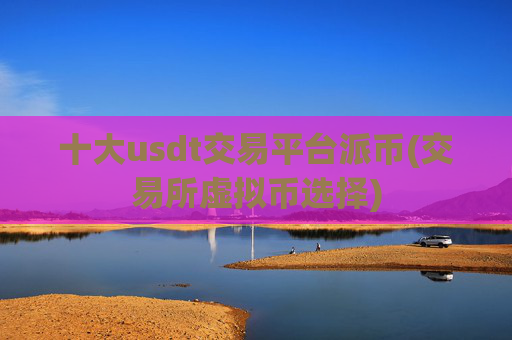 十大usdt交易平台派币(交易所虚拟币选择)
