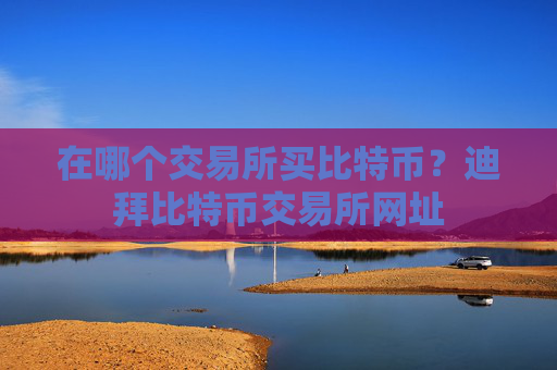 在哪个交易所买比特币？迪拜比特币交易所网址