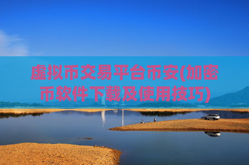 虚拟币交易平台币安(加密币软件下载及使用技巧)