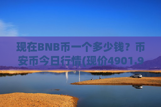 现在BNB币一个多少钱？币安币今日行情(现价4901.93元)
