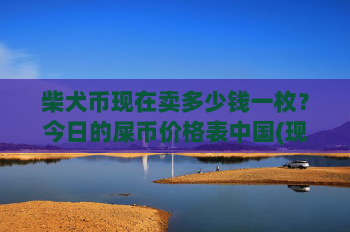 柴犬币现在卖多少钱一枚？今日的屎币价格表中国(现价0.00015523元)
