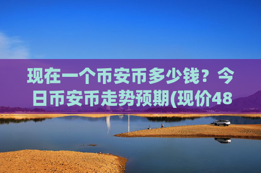 现在一个币安币多少钱？今日币安币走势预期(现价4891.53元)